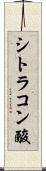 シトラコン酸 Scroll