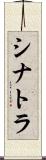 シナトラ Scroll