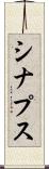 シナプス Scroll