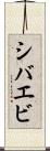 シバエビ Scroll