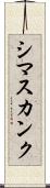 シマスカンク Scroll