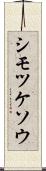 シモツケソウ Scroll