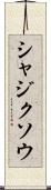 シャジクソウ Scroll