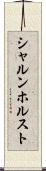 シャルンホルスト Scroll