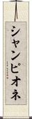 シャンピオネ Scroll