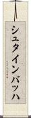 シュタインバッハ Scroll