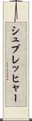 シュプレッヒャー Scroll