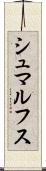 シュマルフス Scroll