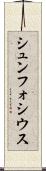 シュンフォシウス Scroll