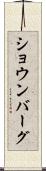 ショウンバーグ Scroll