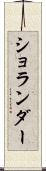 ショランダー Scroll