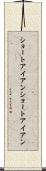 ショートアイアン Scroll