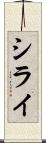 シライ Scroll