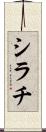 シラチ Scroll