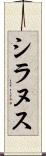 シラヌス Scroll