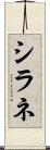シラネ Scroll