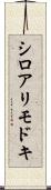 シロアリモドキ Scroll