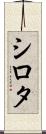 シロタ Scroll