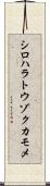 シロハラトウゾクカモメ Scroll