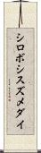 シロボシスズメダイ Scroll