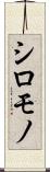 シロモノ Scroll
