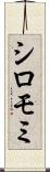 シロモミ Scroll