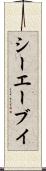 シーエーブイ Scroll