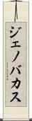 Jenovacus Scroll