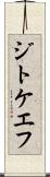 ジトケエフ Scroll