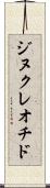 ジヌクレオチド Scroll