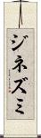 ジネズミ Scroll