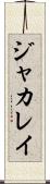 ジャカレイ Scroll