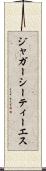 ジャガーシーティーエス Scroll