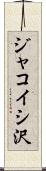 ジャコイシ沢 Scroll
