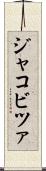ジャコビツァ Scroll