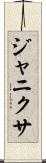 Janixa Scroll