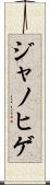 ジャノヒゲ Scroll