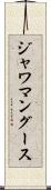 ジャワマングース Scroll