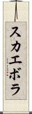 スカエボラ Scroll