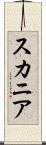 スカニア Scroll