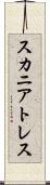 スカニアトレス Scroll