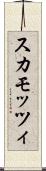 スカモッツィ Scroll