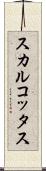 スカルコッタス Scroll