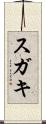 スガキ Scroll