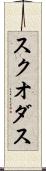 スクオダス Scroll