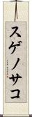 スゲノサコ Scroll