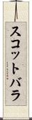 スコットバラ Scroll