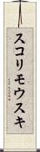 スコリモウスキ Scroll