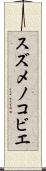 スズメノコビエ Scroll