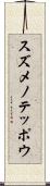 スズメノテッポウ Scroll